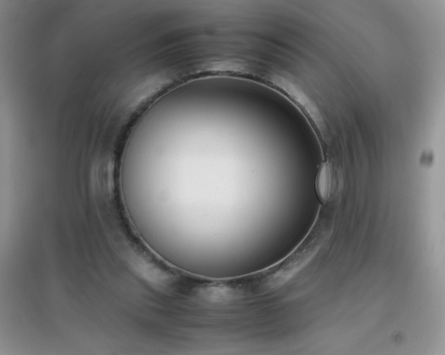 X0000097000253200802081450