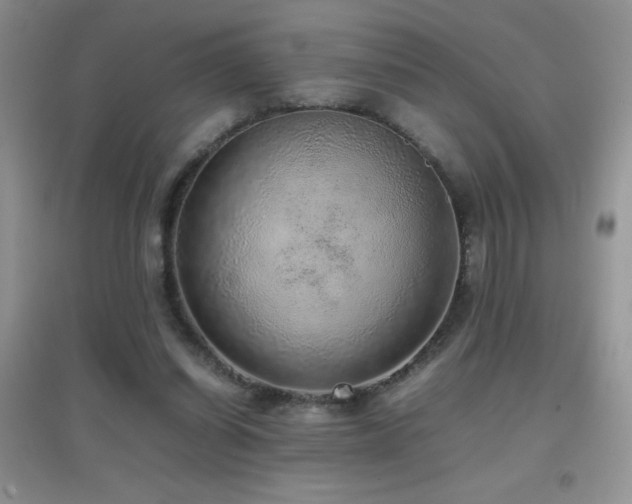 X0000097000254200802081450