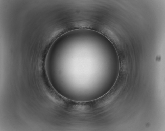 X0000097000255200802081450