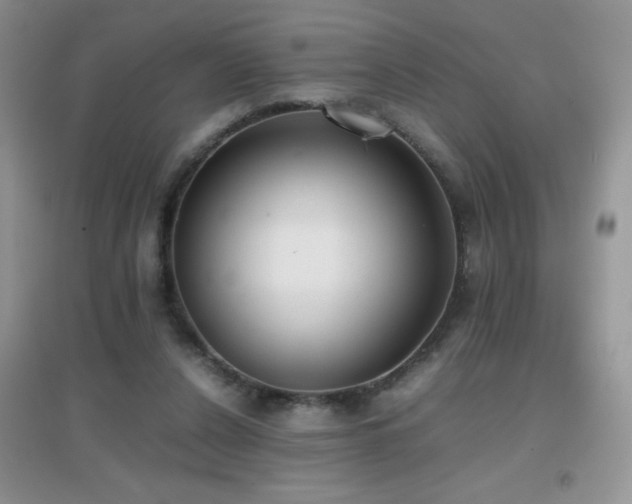 X0000097000256200802081450