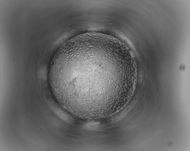 X0000097000257200802081450