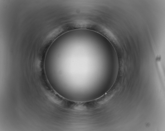 X0000097000258200802081450