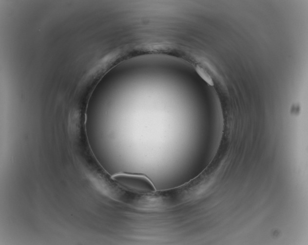 X0000097000260200802081450