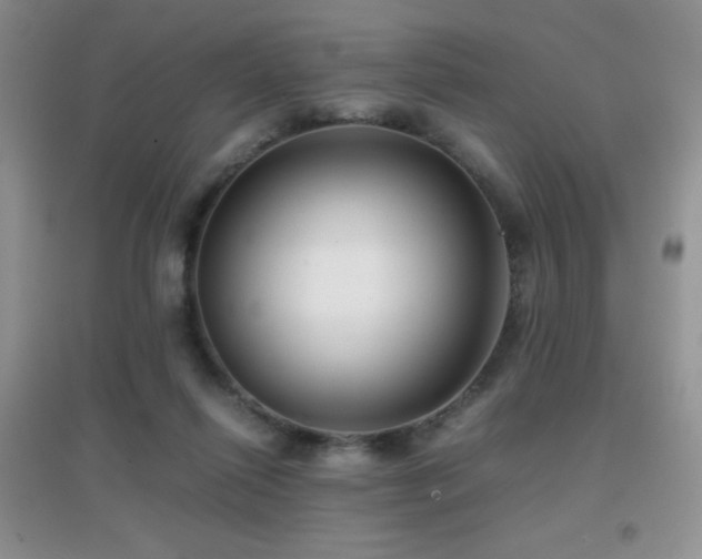 X0000097000262200802081450