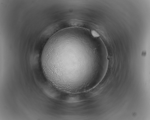 X0000097000263200802081450