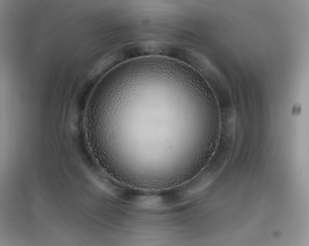 X0000097000266200802081450