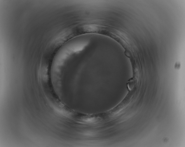 X0000097000267200802081450