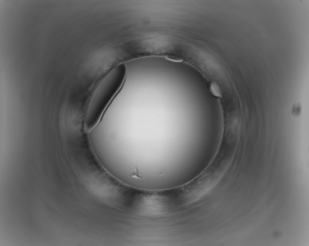 X0000097000268200802081450