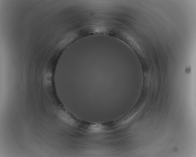 X0000097000269200802081450