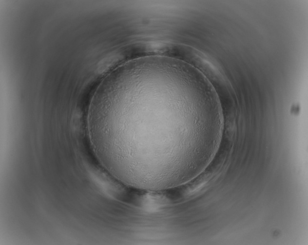 X0000097000270200802081450