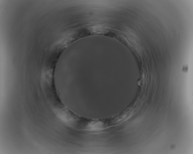 X0000097000271200802081450