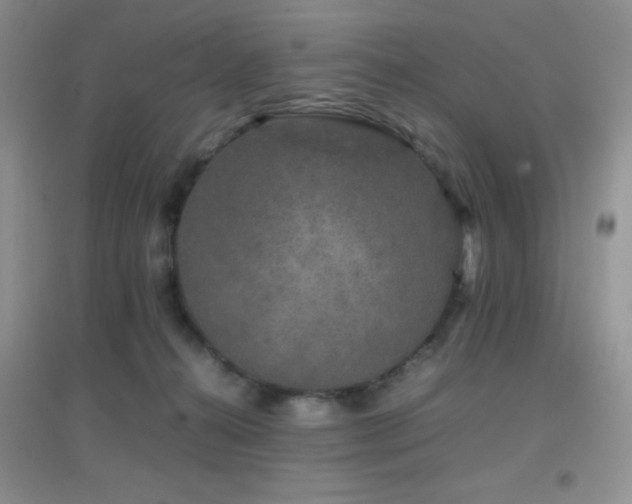 X0000097000272200802081450