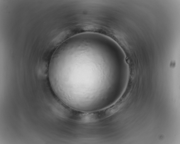 X0000097000273200802081450