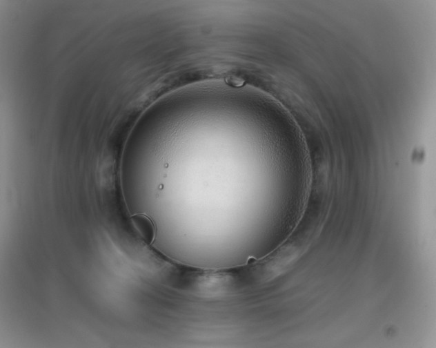 X0000097000274200802081450