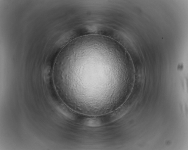 X0000097000275200802081450