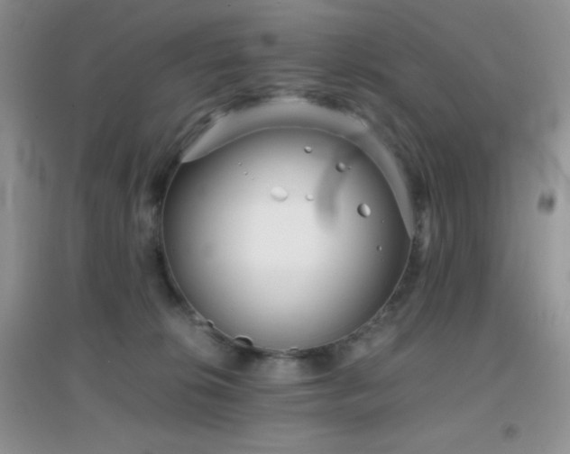 X0000097000276200802081450