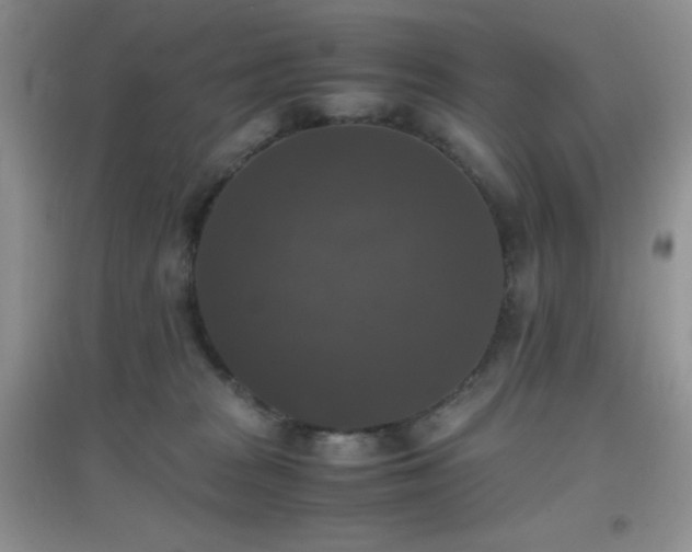 X0000097000277200802081450