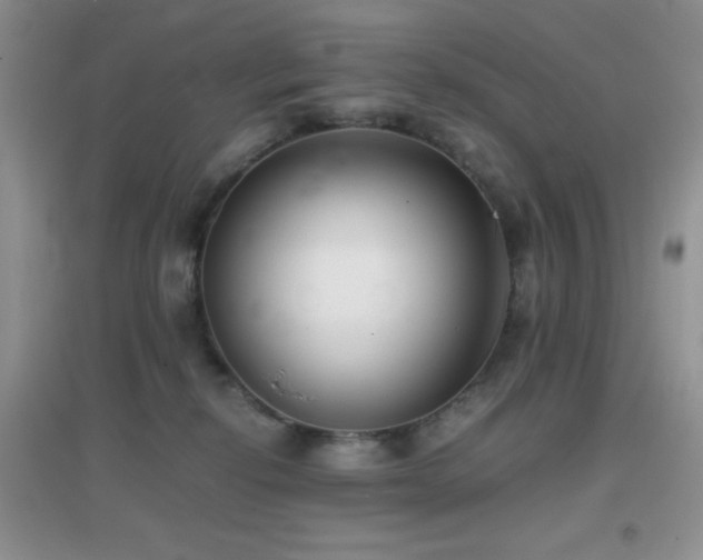 X0000097000278200802081450