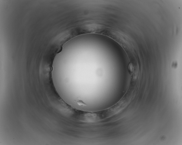 X0000097000279200802081450