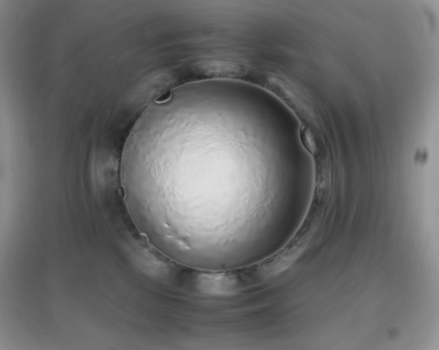 X0000097000281200802081450