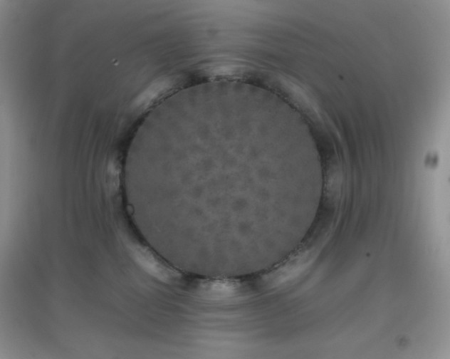 X0000097000282200802081451