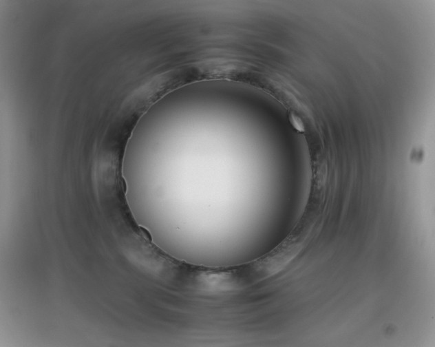 X0000097000283200802081451