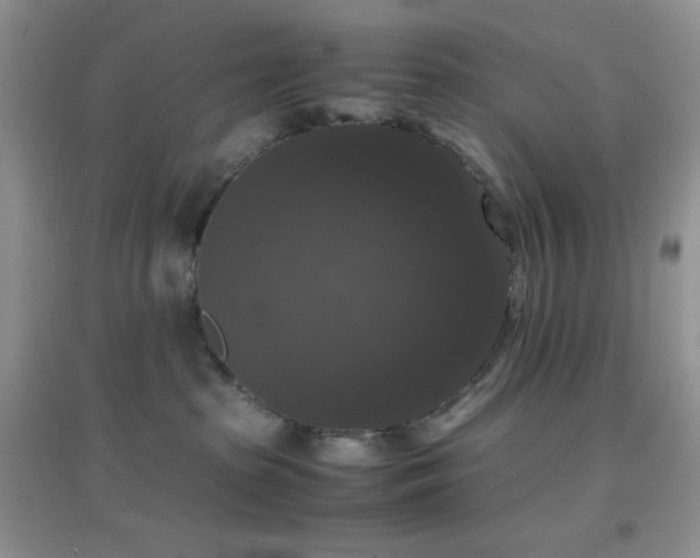 X0000097000285200802081451