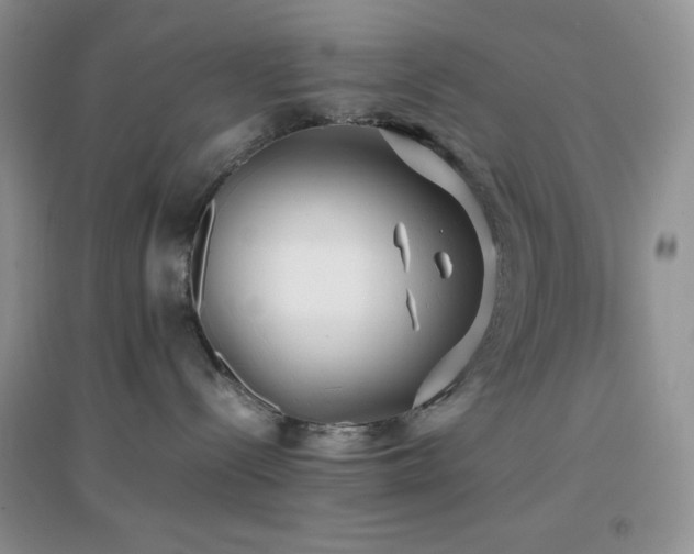 X0000097000288200802081451