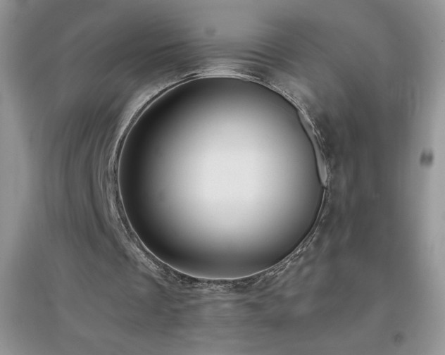 X0000097000289200802081450