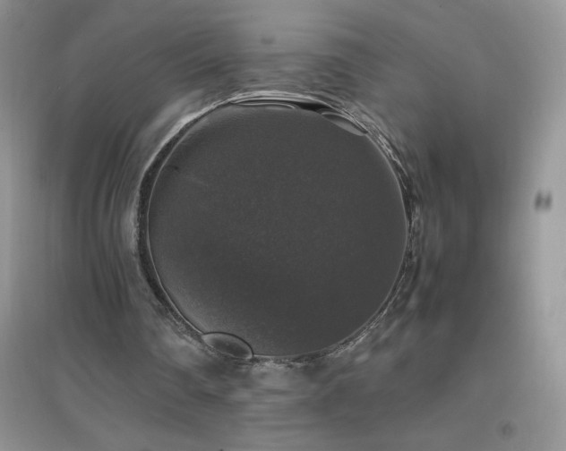 X0000097000290200802081450