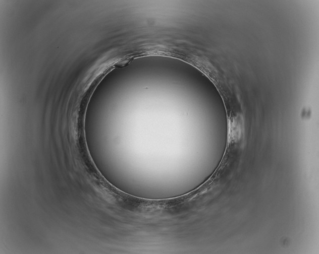 X0000097000291200802081450
