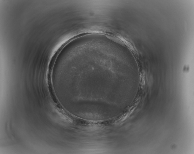 X0000097000292200802081450