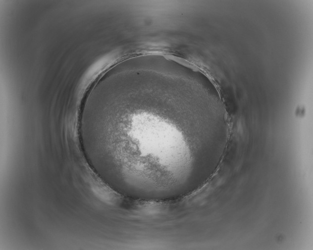 X0000097000293200802081450