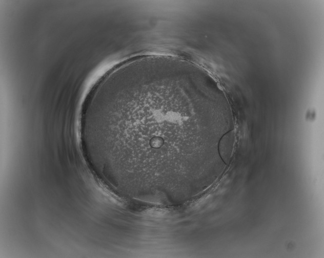 X0000097000294200802081450