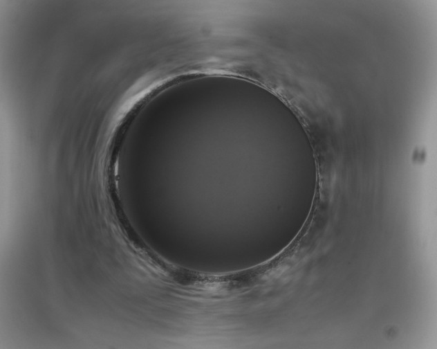 X0000097000295200802081450