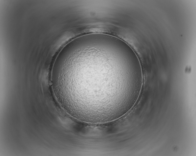X0000097000297200802081450