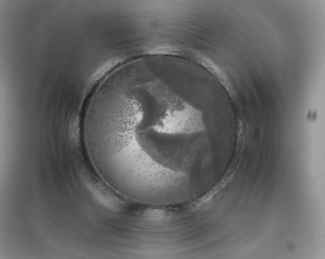 X0000097000298200802081450