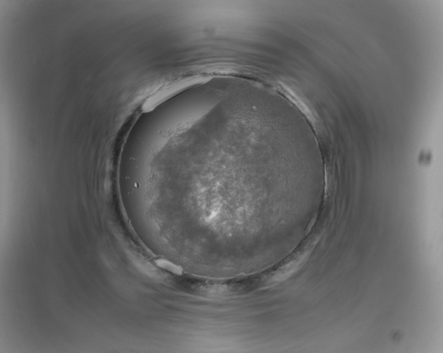 X0000097000301200802081450