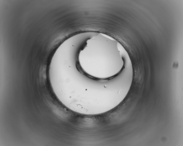 X0000097000302200802081450