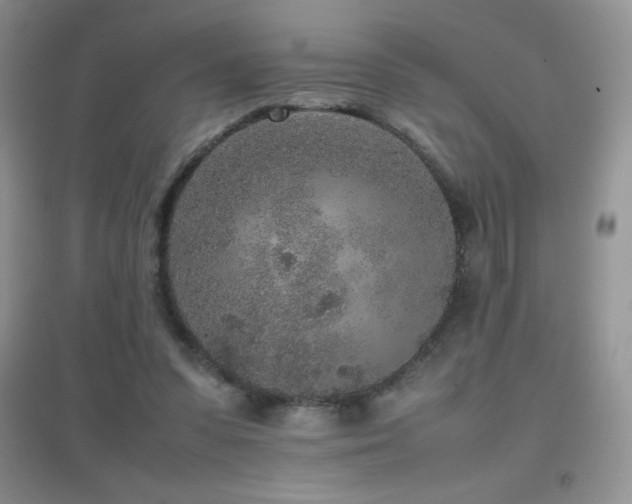X0000097000303200802081450