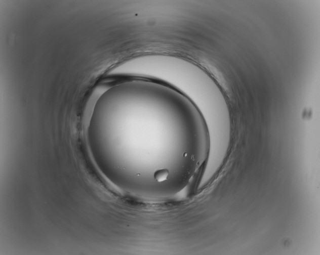 X0000097000305200802081450