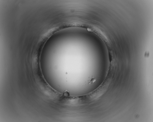 X0000097000306200802081450