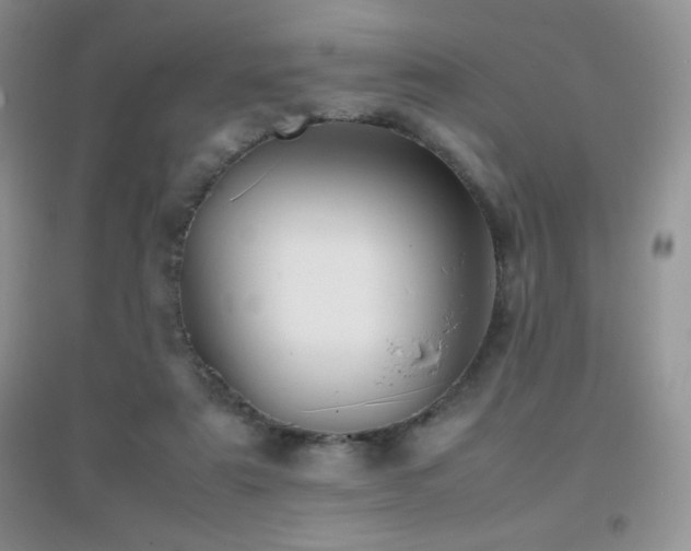 X0000097000307200802081450
