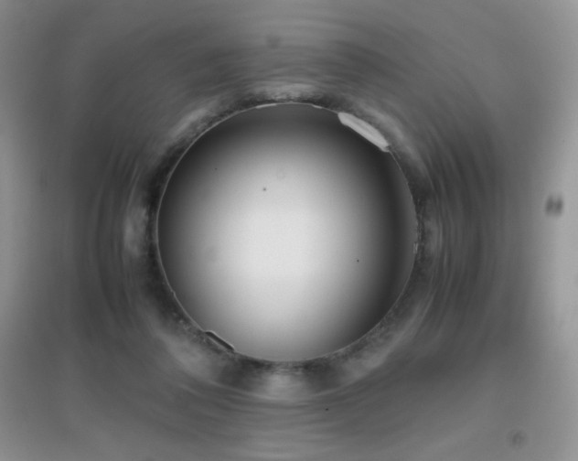 X0000097000308200802081450