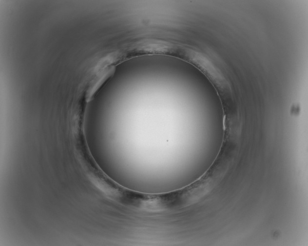 X0000097000309200802081450