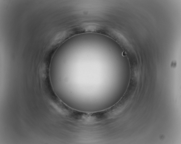 X0000097000311200802081450