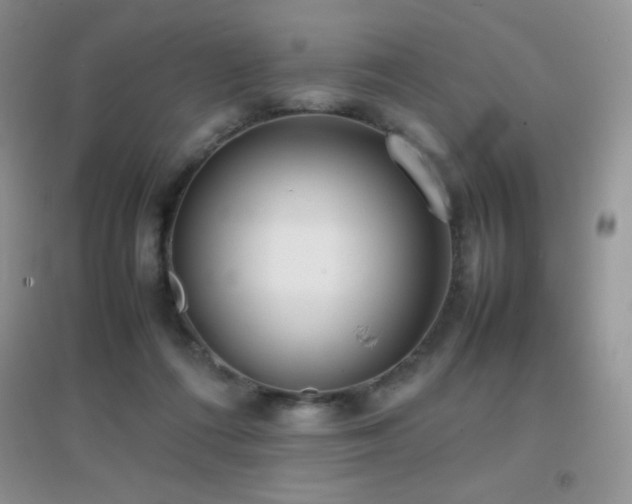 X0000097000312200802081450