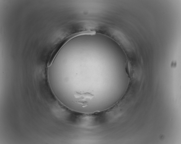 X0000097000313200802081450