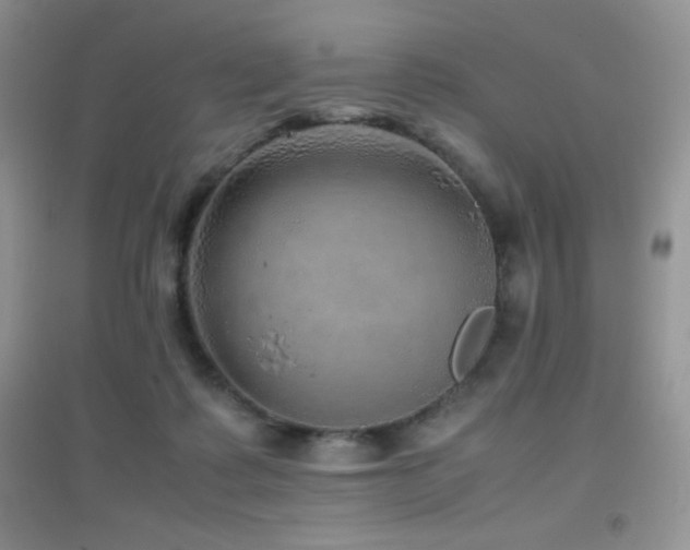 X0000097000315200802081450
