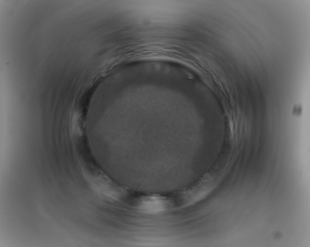 X0000097000316200802081450